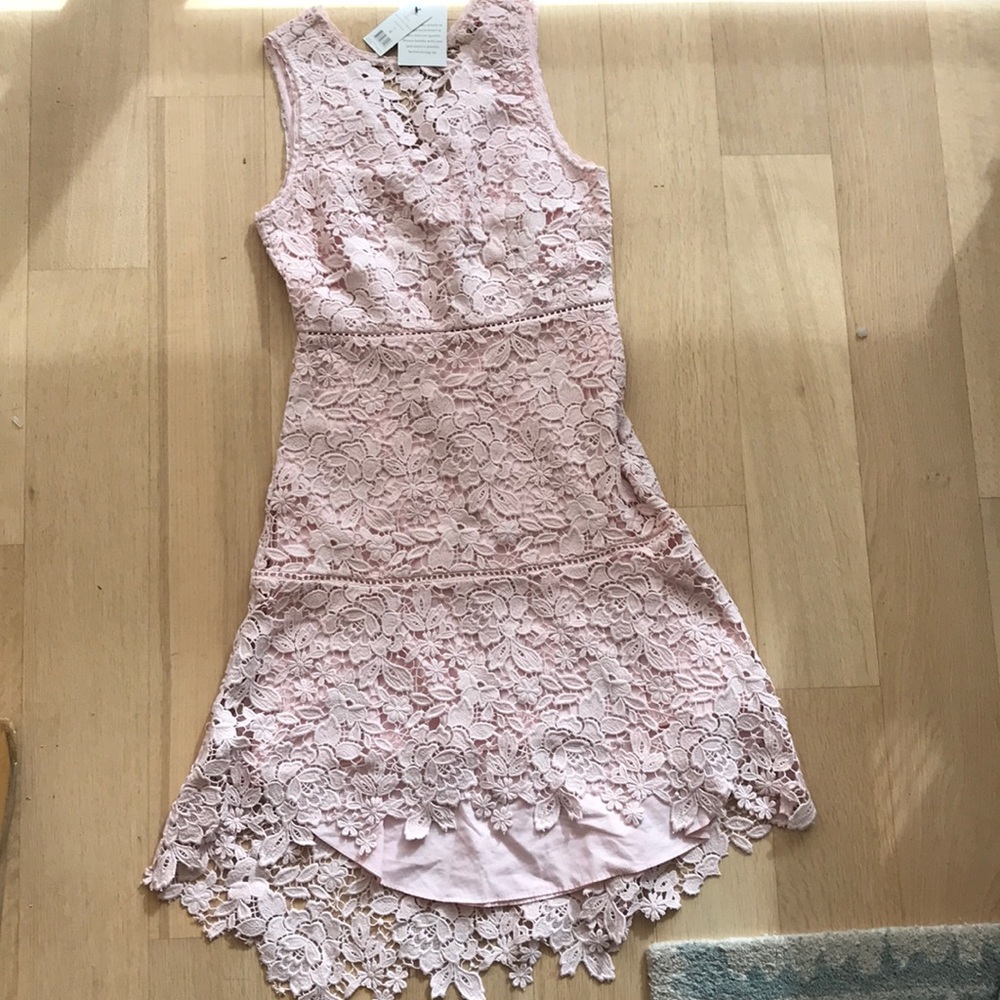BRAND NEW Joie Briedley lace dress in Rosewater